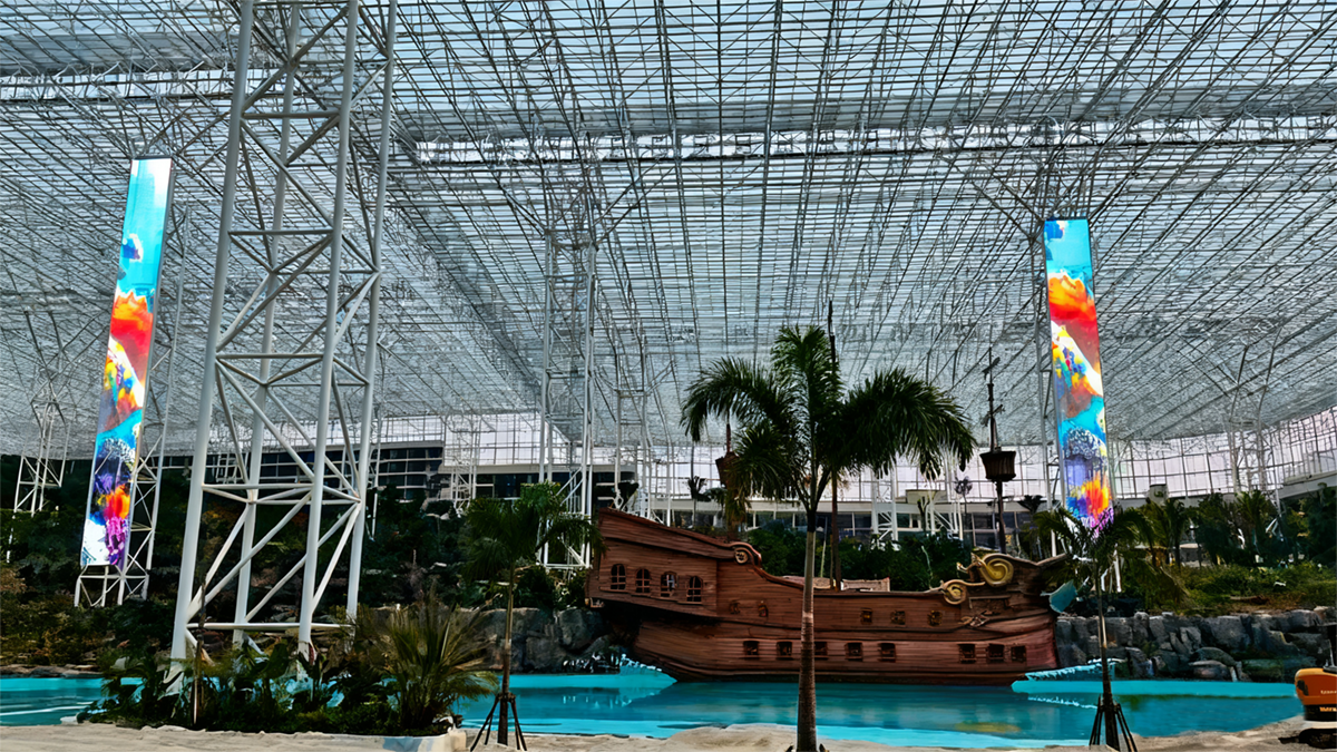 ��������ɭ�ֿ����ǡ�С���ǡ�������Ŀ